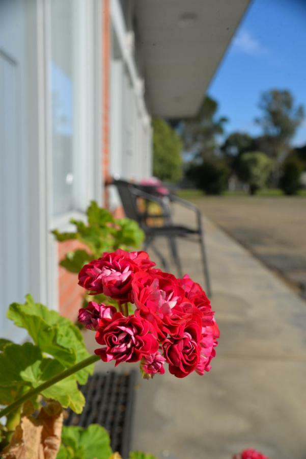 Ship Inn Motel Yarram Esterno foto